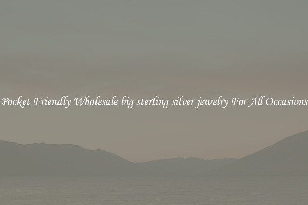 Pocket-Friendly Wholesale big sterling silver jewelry For All Occasions