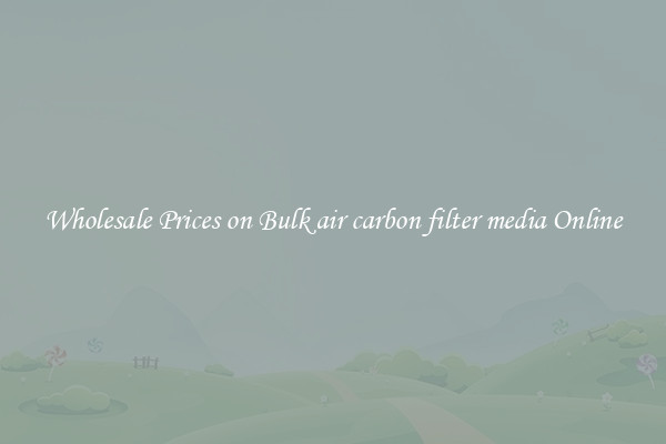 Wholesale Prices on Bulk air carbon filter media Online