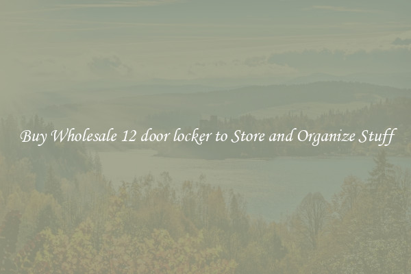 Buy Wholesale 12 door locker to Store and Organize Stuff