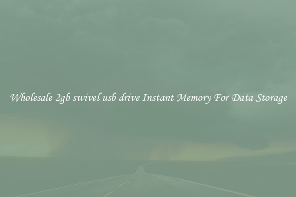 Wholesale 2gb swivel usb drive Instant Memory For Data Storage