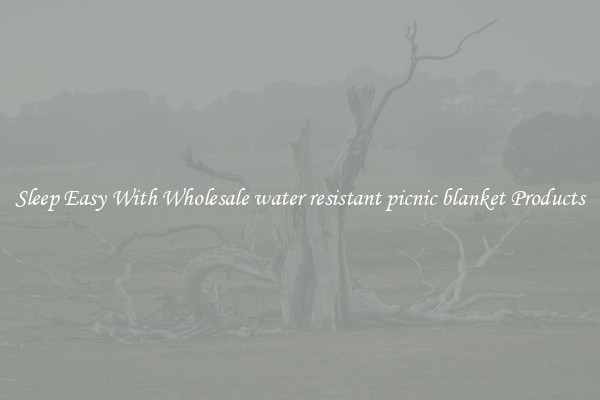 Sleep Easy With Wholesale water resistant picnic blanket Products
