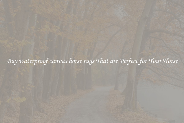 Buy waterproof canvas horse rugs That are Perfect for Your Horse