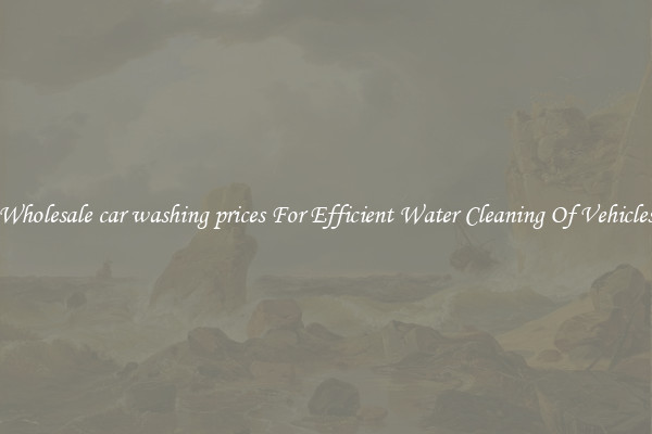 Wholesale car washing prices For Efficient Water Cleaning Of Vehicles