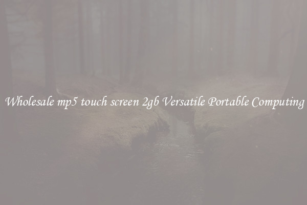 Wholesale mp5 touch screen 2gb Versatile Portable Computing