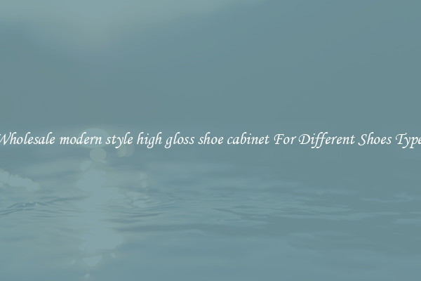 Wholesale modern style high gloss shoe cabinet For Different Shoes Types