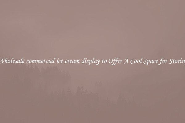Wholesale commercial ice cream display to Offer A Cool Space for Storing