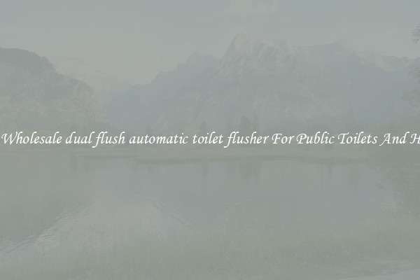 Buy Wholesale dual flush automatic toilet flusher For Public Toilets And Homes