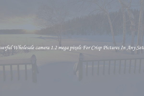 Powerful Wholesale camera 1.2 mega pixels For Crisp Pictures In Any Setting