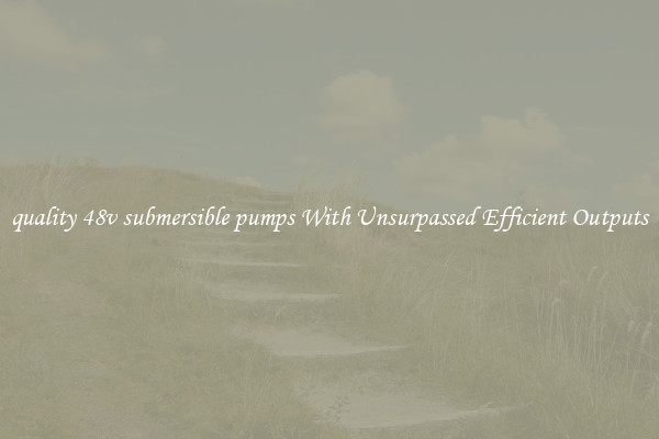 quality 48v submersible pumps With Unsurpassed Efficient Outputs