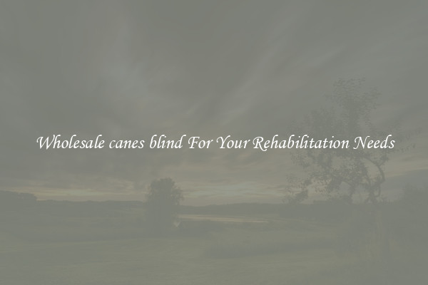 Wholesale canes blind For Your Rehabilitation Needs