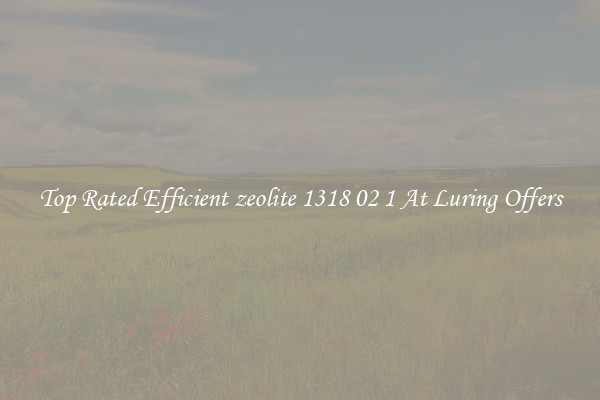 Top Rated Efficient zeolite 1318 02 1 At Luring Offers