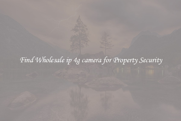 Find Wholesale ip 4g camera for Property Security