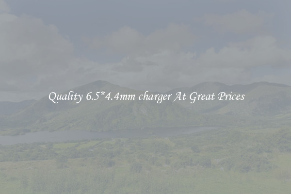 Quality 6.5*4.4mm charger At Great Prices
