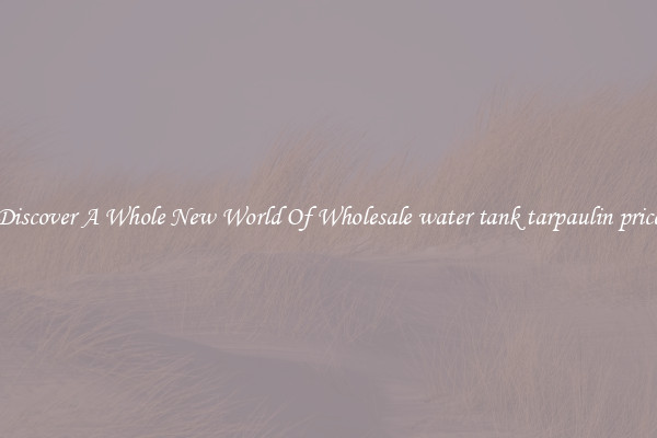 Discover A Whole New World Of Wholesale water tank tarpaulin price