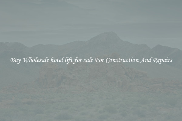 Buy Wholesale hotel lift for sale For Construction And Repairs