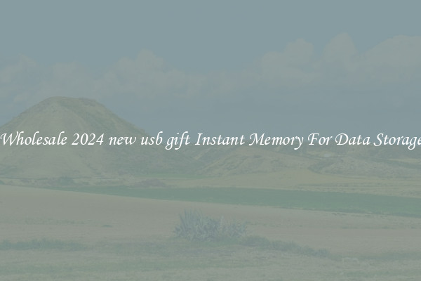 Wholesale 2024 new usb gift Instant Memory For Data Storage